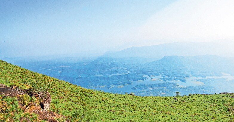 poonjira poonjira