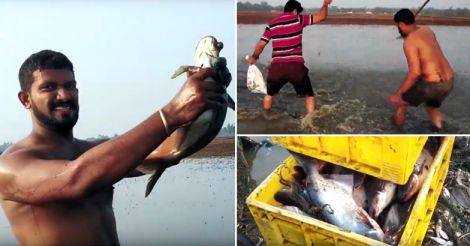 catching-fish-using-stick-kuttanad-viral-video