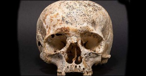 ava-skull ava-skull