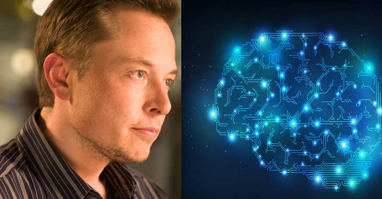elon-musk elon-musk