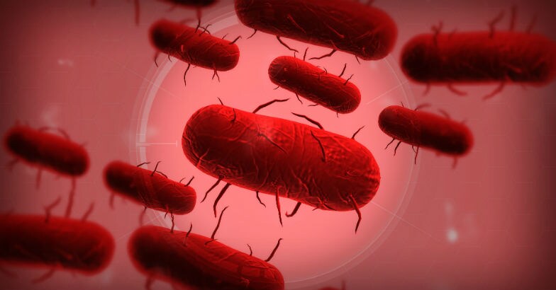 plague plague