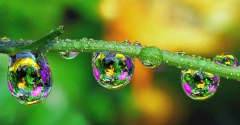 water-drops