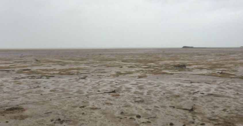 ocean ocean