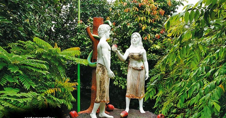mango-medows11 mango-medows11