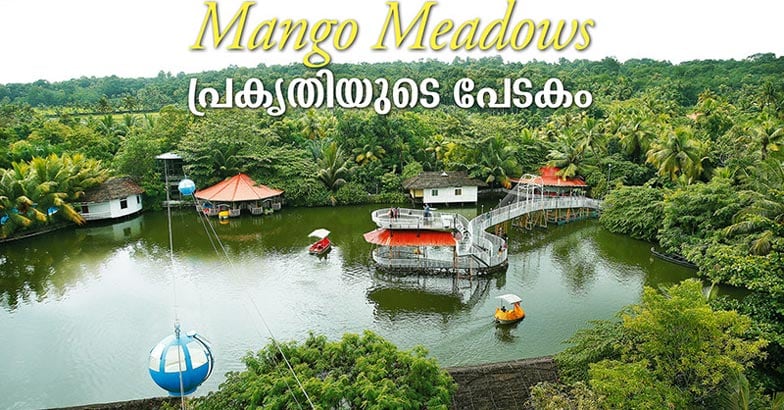 mango-medows6 mango-medows6