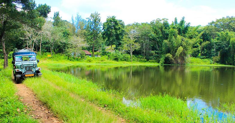 wildtrip6 wildtrip6