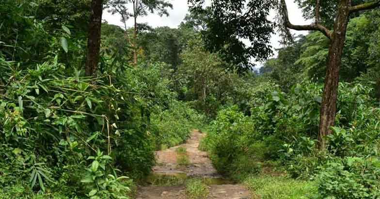 8anakulam 8anakulam