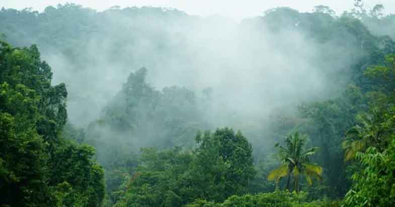anakulam1 anakulam1