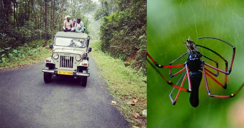 anakulam2 anakulam2
