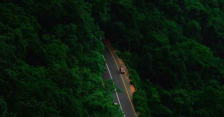 muthanga6 muthanga6