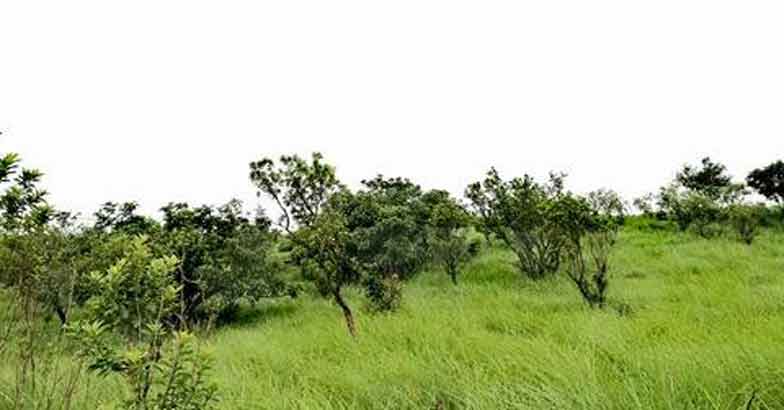 palkulamedu1 palkulamedu1