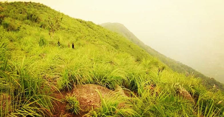 ilaveezha-poonchira3. ilaveezha-poonchira3.