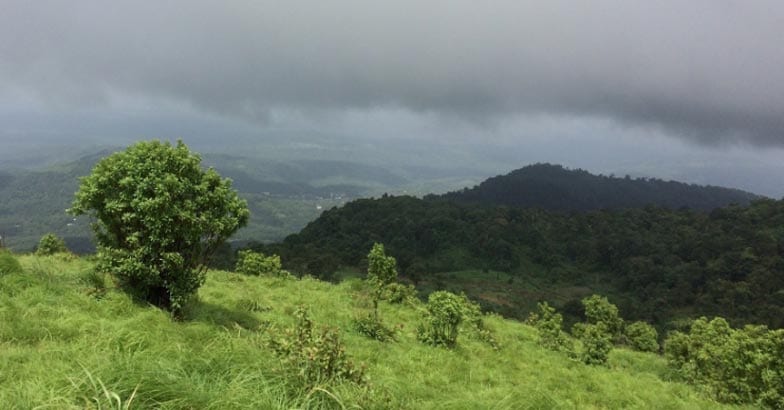 4palakkayam-thattu7 4palakkayam-thattu7