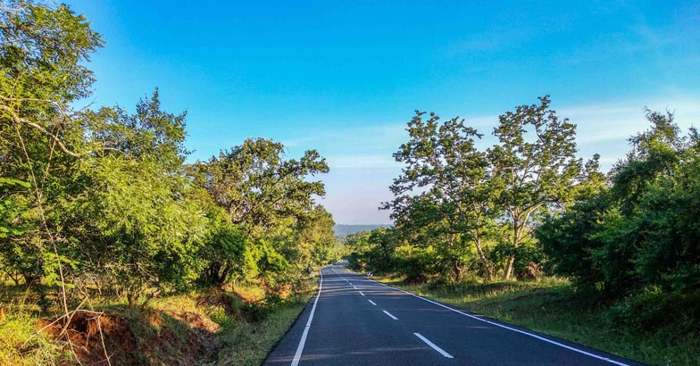 6mudumalai 6mudumalai