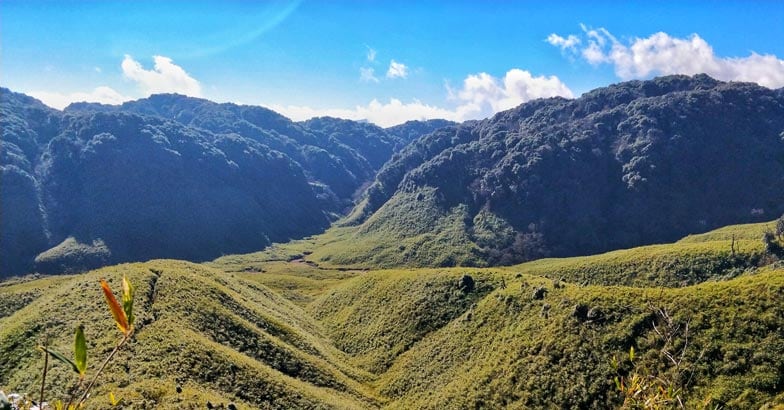 nagaland12 nagaland12