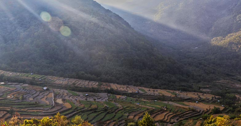 nagaland4 nagaland4