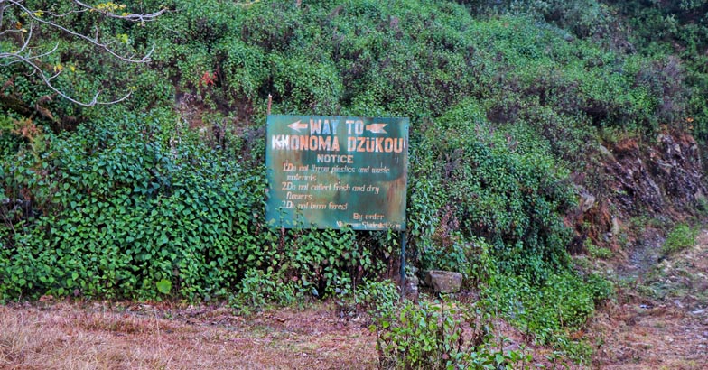 nagaland6 nagaland6