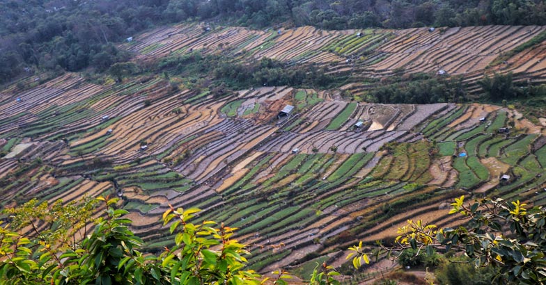 nagaland7 nagaland7