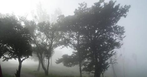 himavad-gopalaswamy-betta3 himavad-gopalaswamy-betta3