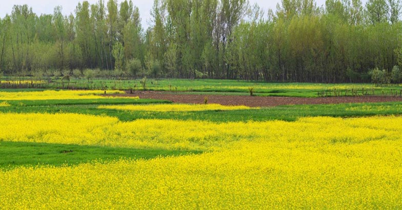 1kashmir-trip8 1kashmir-trip8