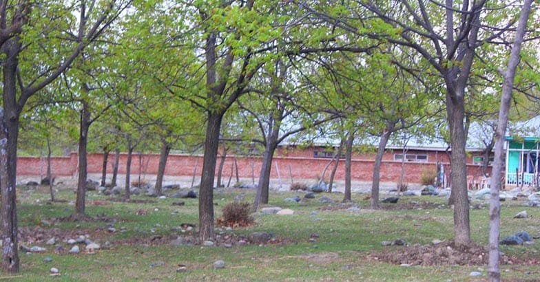 Pahalgam8 Pahalgam8
