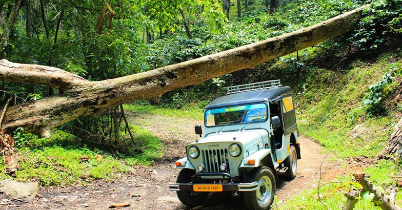 wildtrip4 wildtrip4