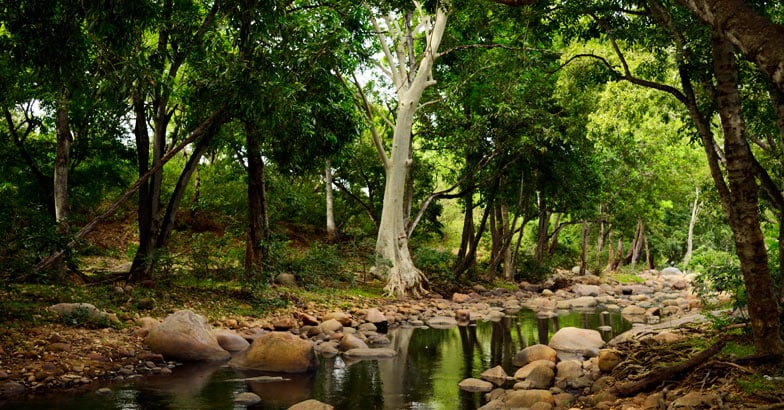 chinnar-1 chinnar-1