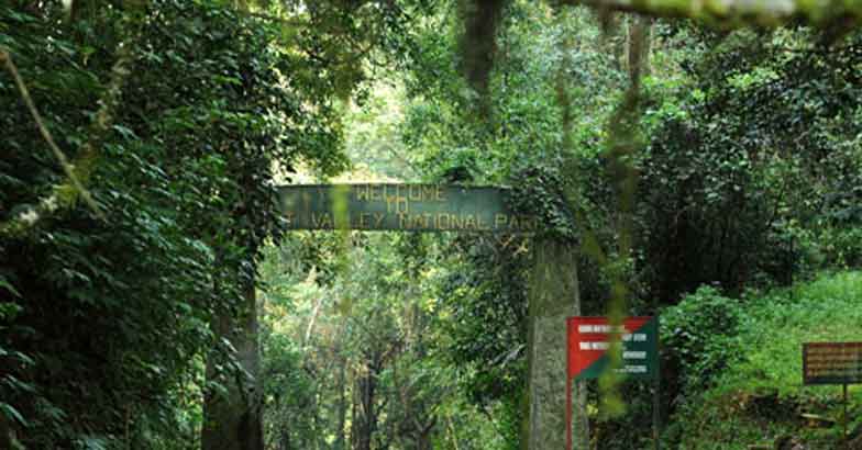 9silent-valley9 9silent-valley9