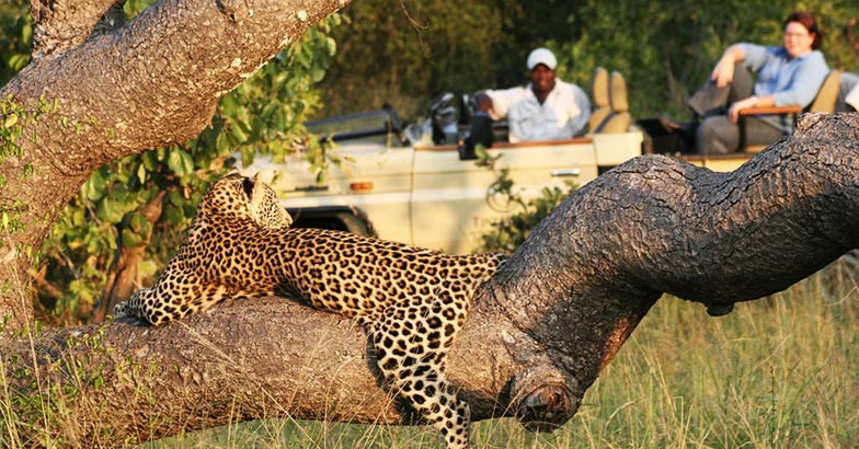 Kruger-Park2 Kruger-Park2
