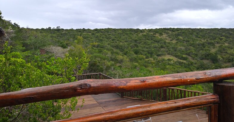 south-africa-trip1 south-africa-trip1