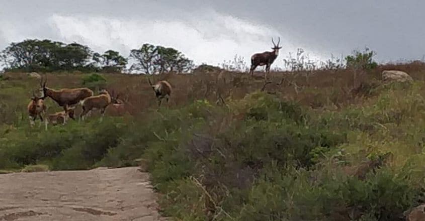 south-africa-trip10 south-africa-trip10