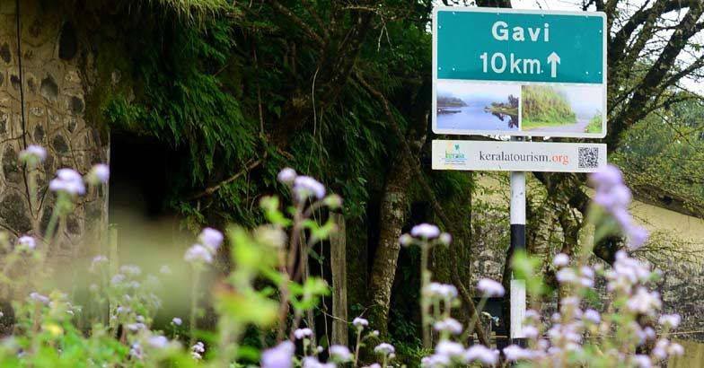 gavi3 gavi3