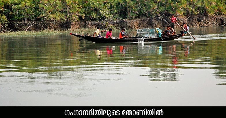 Sundarbans-5 Sundarbans-5