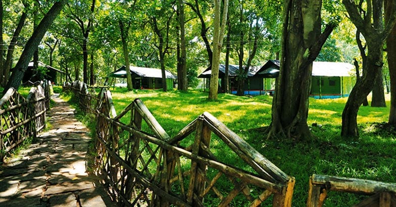 parambikulam1 parambikulam1