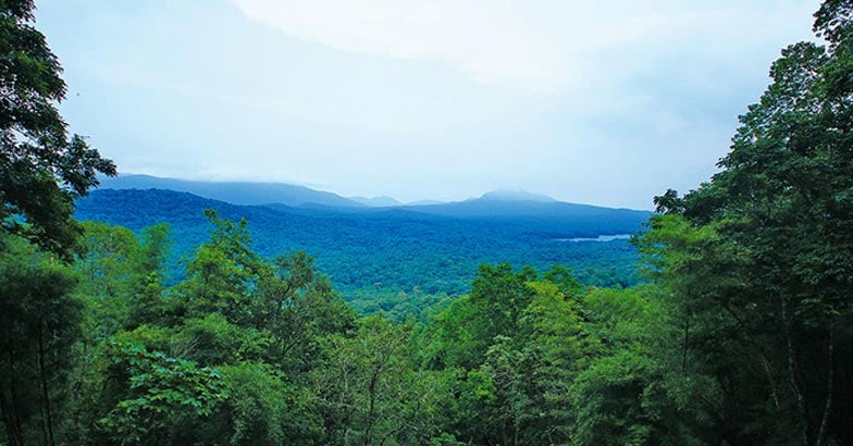 parambikulam4 parambikulam4