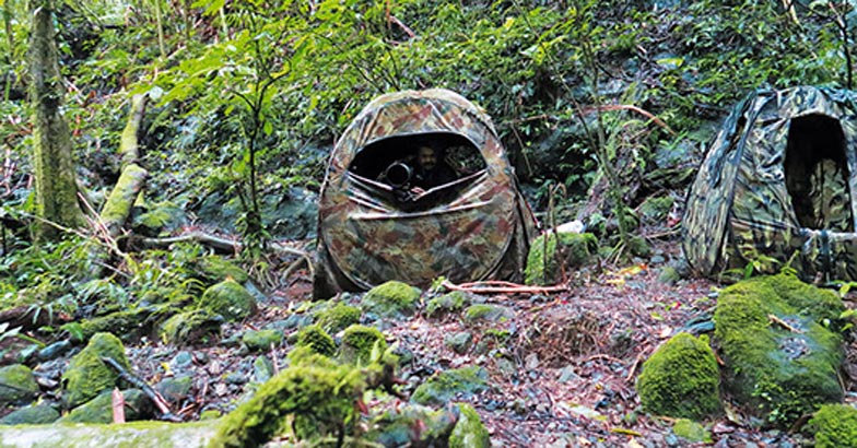 travel-wild6 travel-wild6