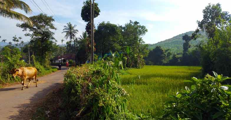 10village-in-Poyil- 10village-in-Poyil-