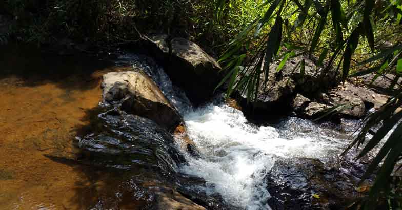 11wayanad 11wayanad