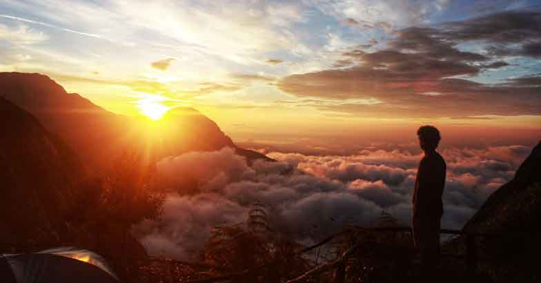 munnar1 munnar1