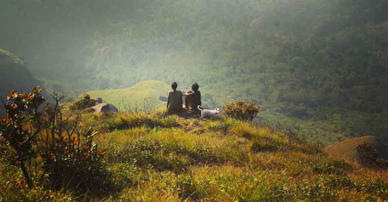 munnar3 munnar3