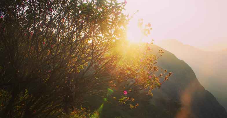 munnar7 munnar7