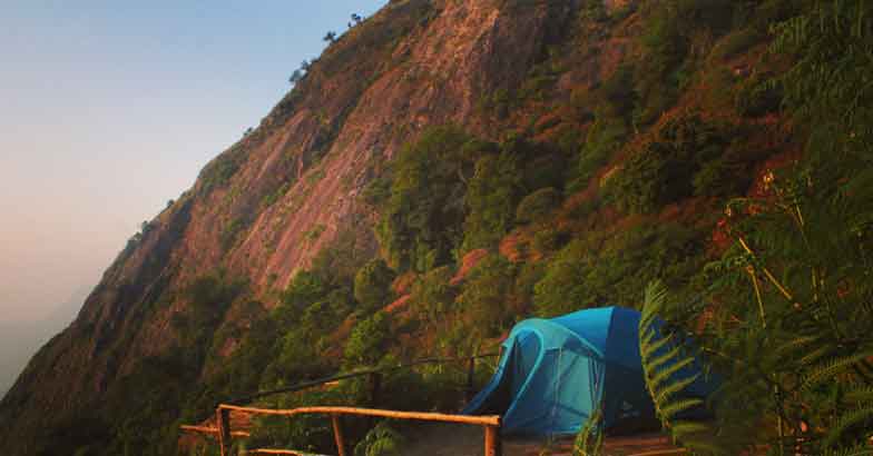 munnar8 munnar8
