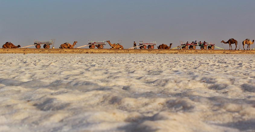 Great-Rann-of-Kutch1 Great-Rann-of-Kutch1