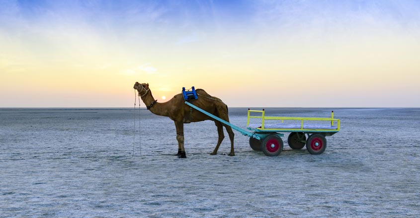 Great-Rann-of-Kutch2 Great-Rann-of-Kutch2