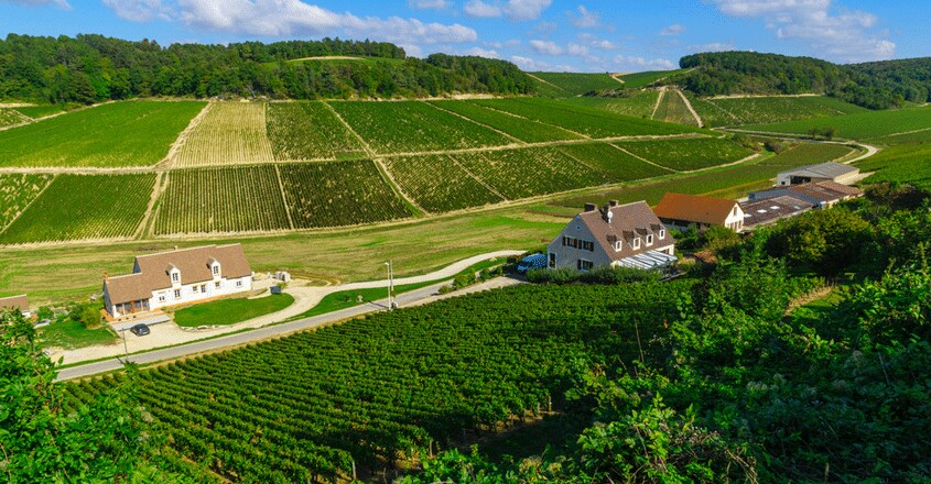 chablis-travel chablis-travel