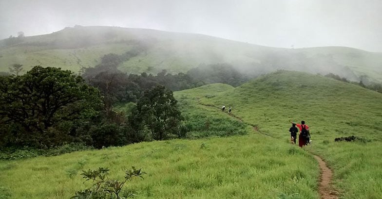 Kodachadri_trail1 Kodachadri_trail1