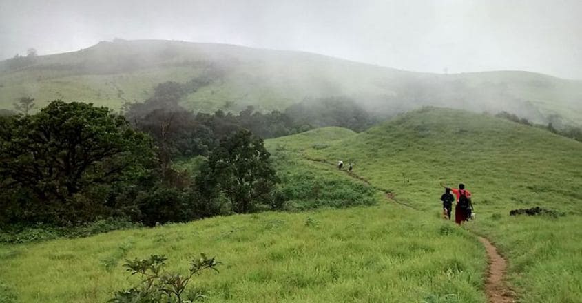 Kodachadri_trail1 Kodachadri_trail1
