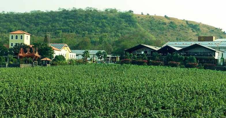wine-place-sula wine-place-sula