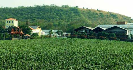 wine-place-sula wine-place-sula