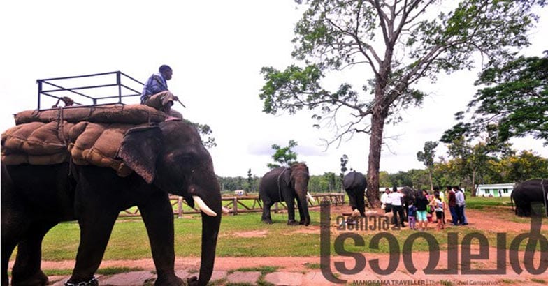 coorg2 coorg2
